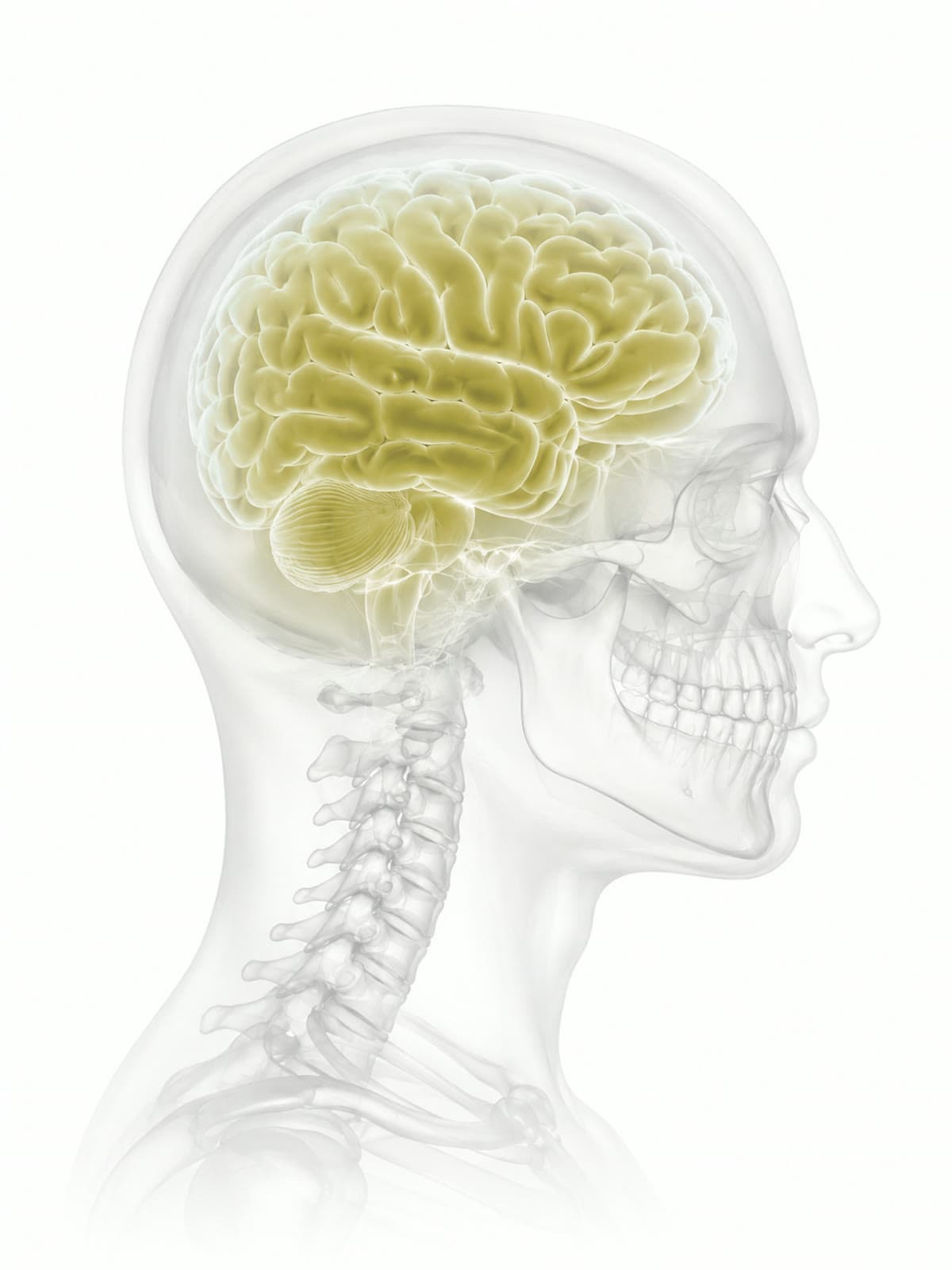 Neurocirurgia